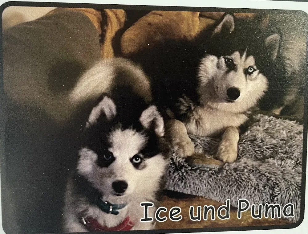 Hundepension Liane Kramer - Rangsdorf pet otel