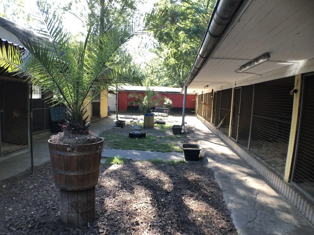 Hundepension Liane Kramer - Rangsdorf pet otel görseli 3