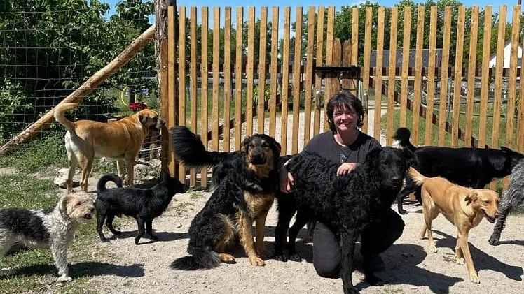 Santana Ranch – Ramona Bahn Hundepension Hundephysiotherapie & TCVM Hundeverhaltensberatung Ernährungsberatung Akupunktur - Rangsdorf pet otel görseli 2