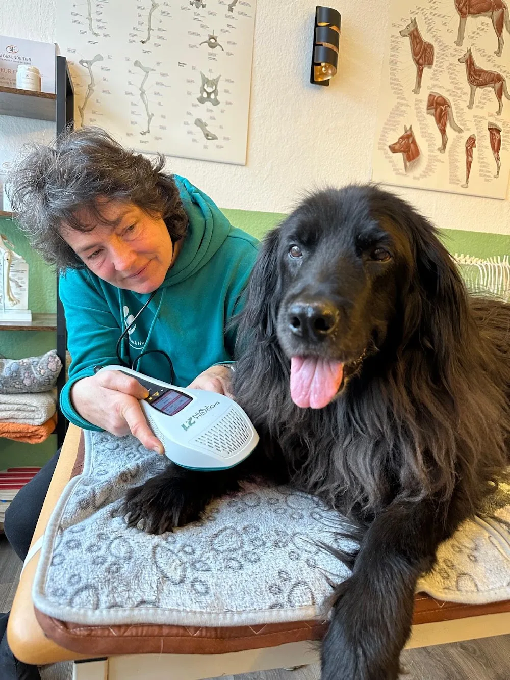Santana Ranch – Ramona Bahn Hundepension Hundephysiotherapie & TCVM Hundeverhaltensberatung Ernährungsberatung Akupunktur - Rangsdorf pet otel görseli 3