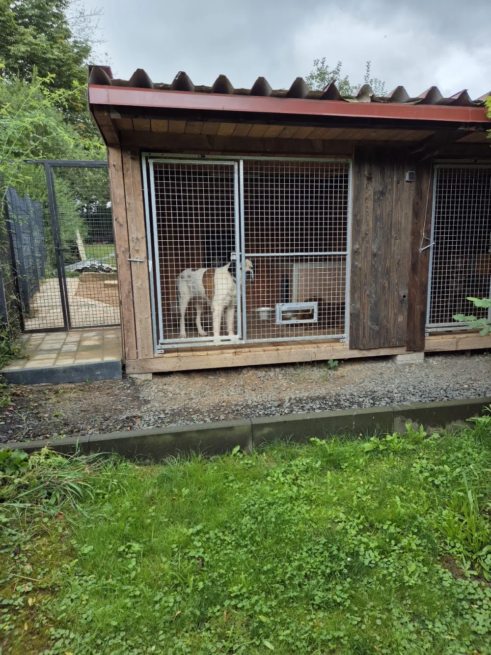 K9 Schmiede - Rasdorf pet otel
