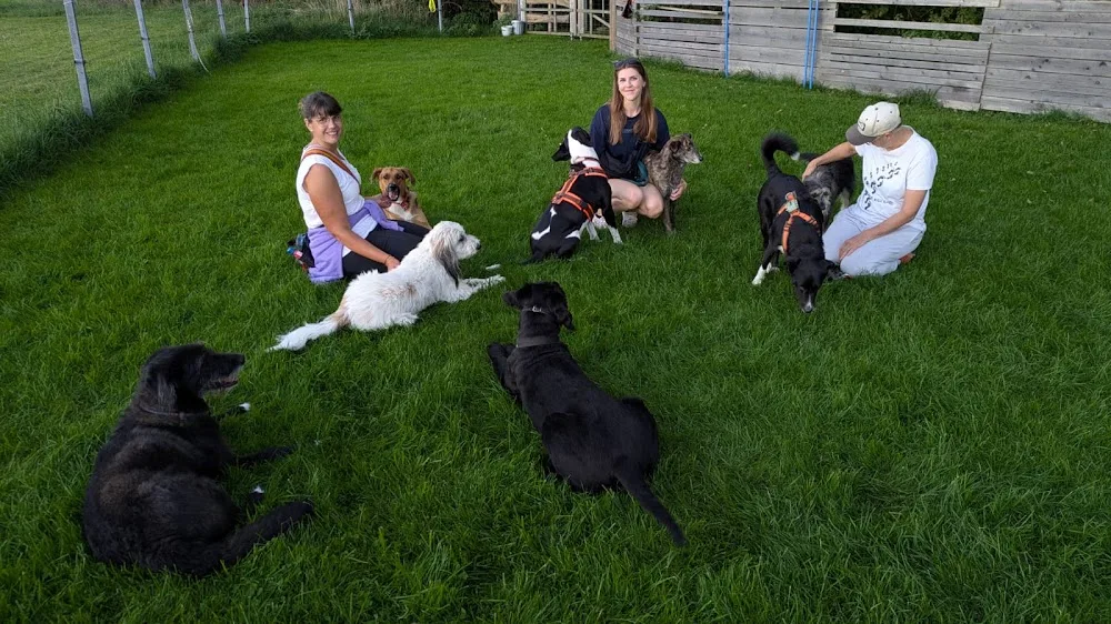Carmens Bunte Hunde - Ravensburg pet otel