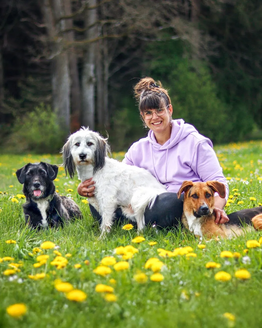 Carmens Bunte Hunde - Ravensburg pet otel görseli 3