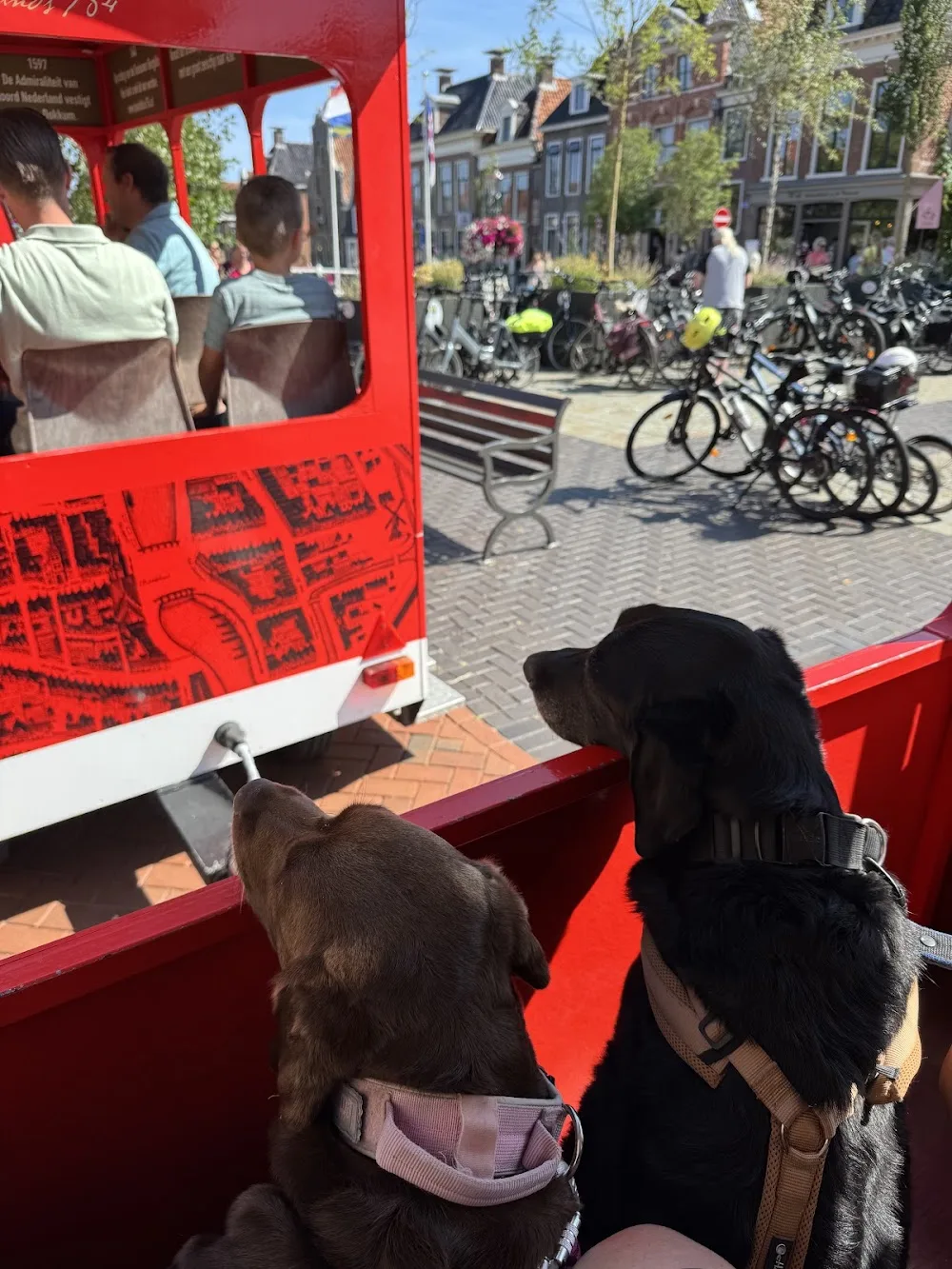 Dogbones Hundeschule Hundepension Hundetagesbetreuung - Ravensburg pet otel görseli 3