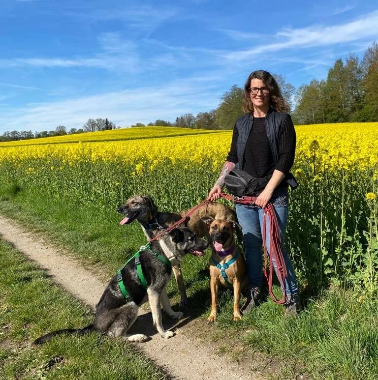 Streunerbande - die Hundebetreuung - Ravensburg pet otel