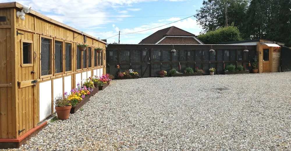 Charlie's Cattery - Reading pet otel