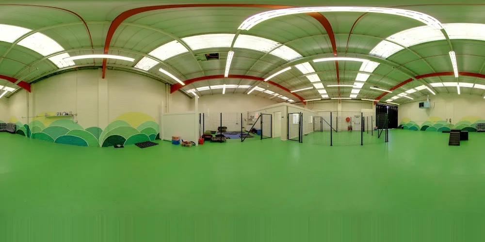 Rags & Bert's Doggy Daycare & Hotel - Reading pet otel görseli 3