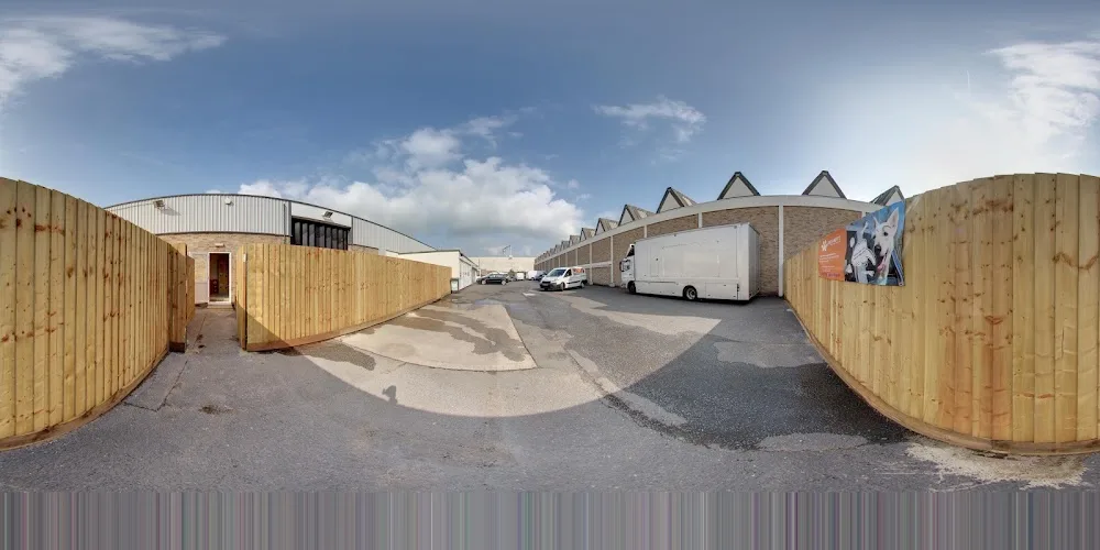 Rags & Bert's Doggy Daycare & Hotel - Reading pet otel görseli 4