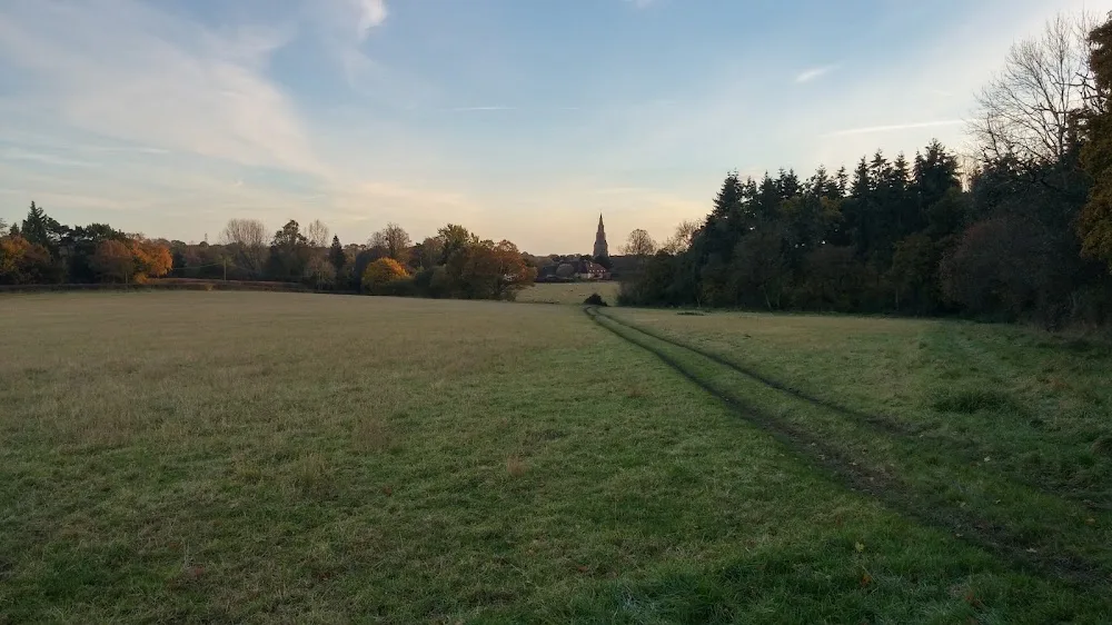 Wheats Farm Boarding Kennels and Livery Yard - Reading pet otel görseli 3