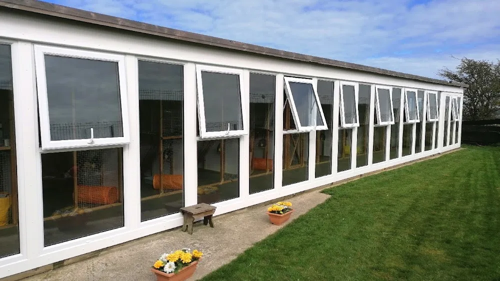 Buttercup boarding Cattery - Redcar and Cleveland pet otel görseli 2