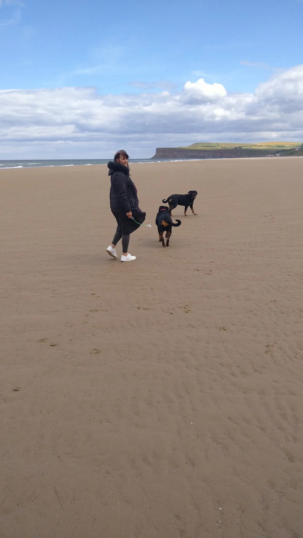 Greencroft Kennels - Redcar and Cleveland pet otel