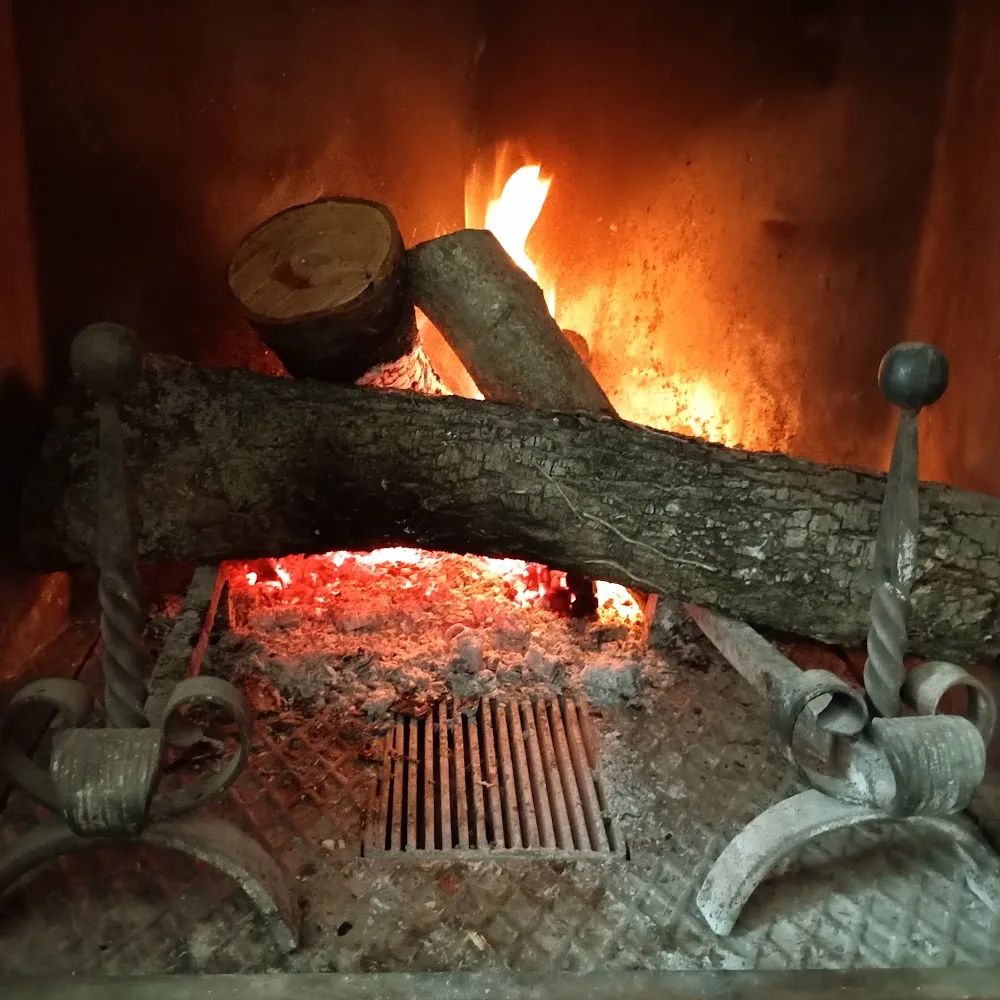 Canile La Quiete - Reggio Emilia pet otel görseli 3