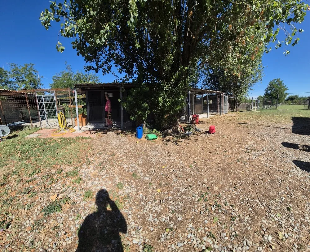 Dog Village - Reggio Emilia pet otel