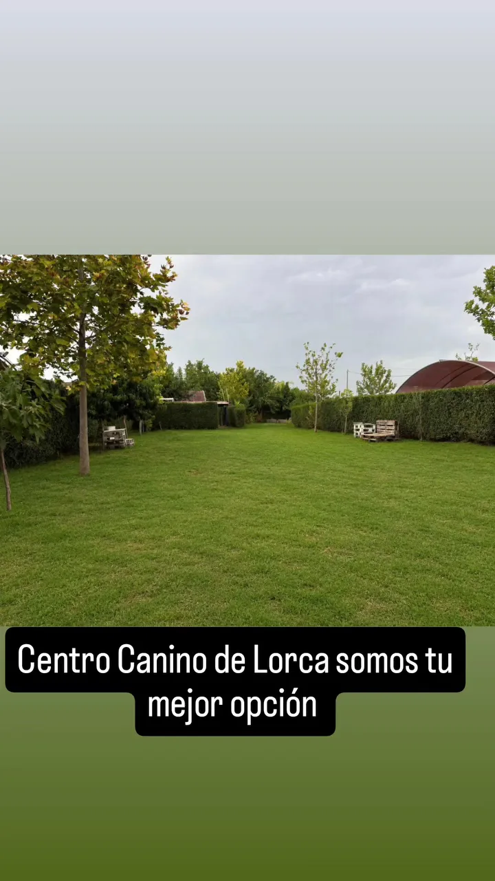 Centro canino de lorca - Region of Murcia pet otel