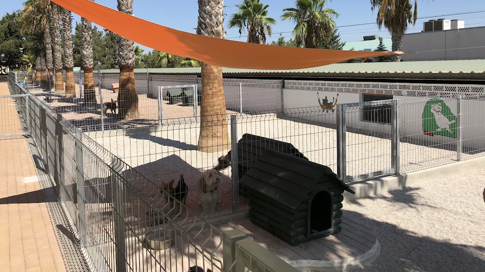Centrocan, hotel para perros y gatos - Region of Murcia pet otel