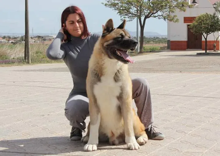 Eternal Flame Dobermann - Region of Murcia pet otel