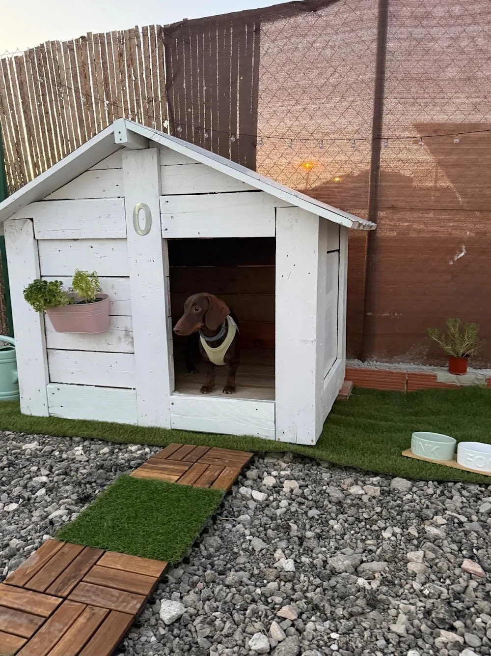 Hotel canino río mula - Region of Murcia pet otel görseli 3