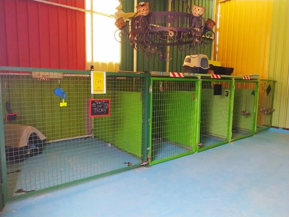 Residencia Rural Canino “como en casa” - Region of Murcia pet otel