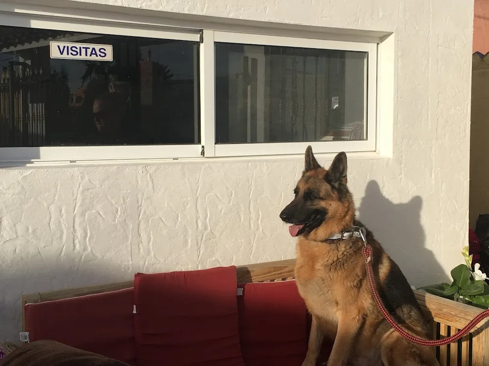 wags and whiskers kennels & cattery - Region of Murcia pet otel