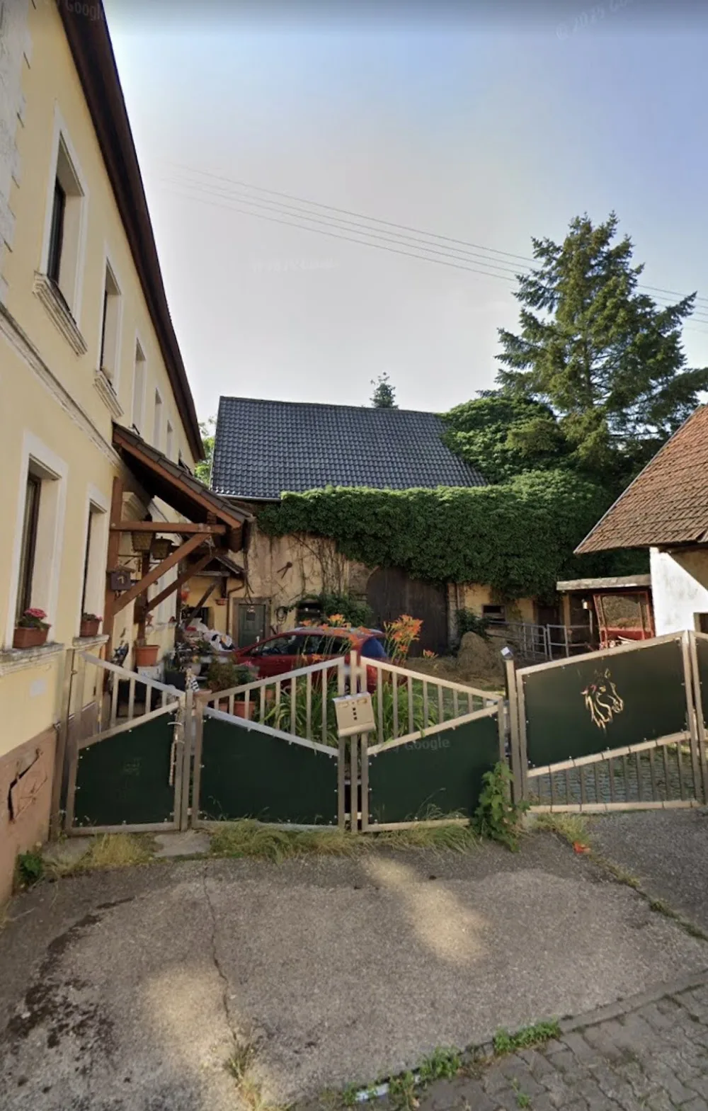 Annas Katzenvilla - Rhineland-Palatinate pet otel görseli 11