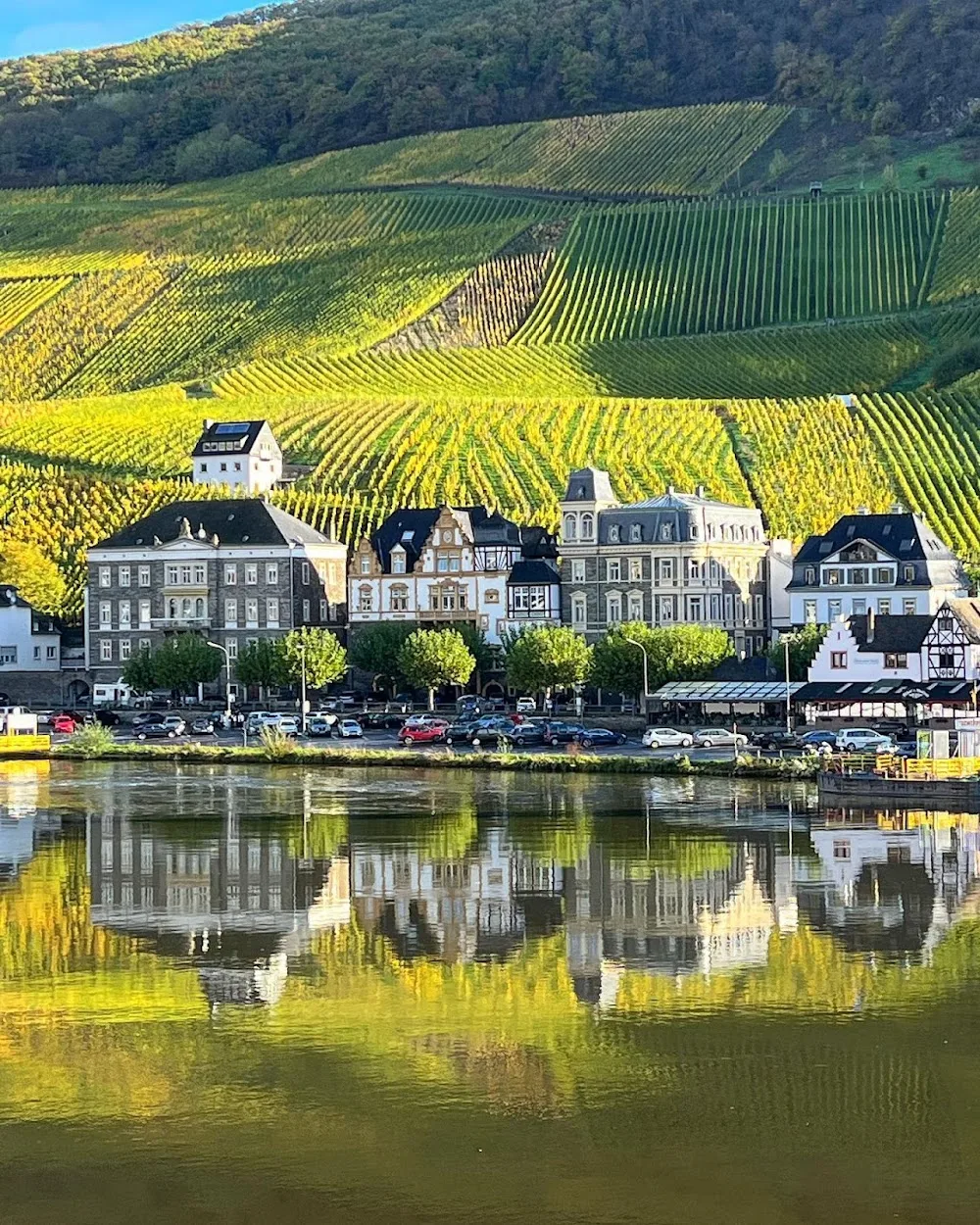 Hundepension Charly - Rhineland-Palatinate pet otel görseli 3