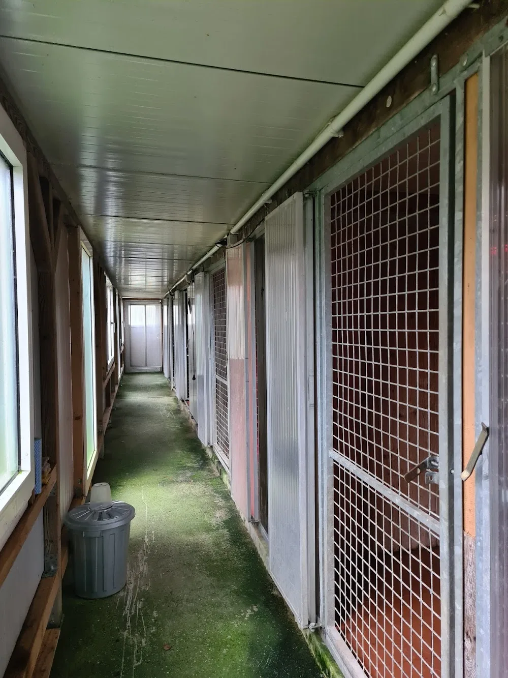 Hundepension K9 Dog Kennel - Rhineland-Palatinate pet otel
