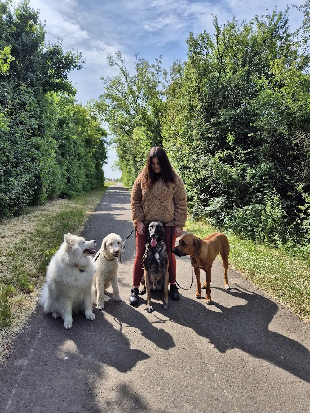 Hundepension Schlabberschnuten - Rhineland-Palatinate pet otel görseli 2