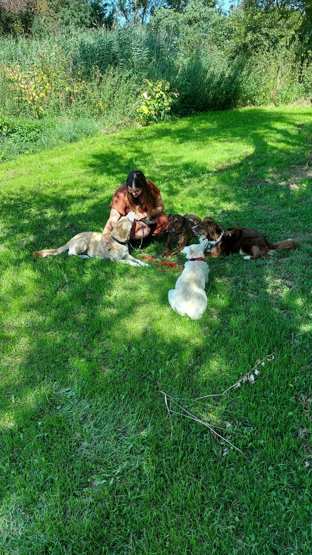 Hundepension Schlabberschnuten - Rhineland-Palatinate pet otel görseli 3