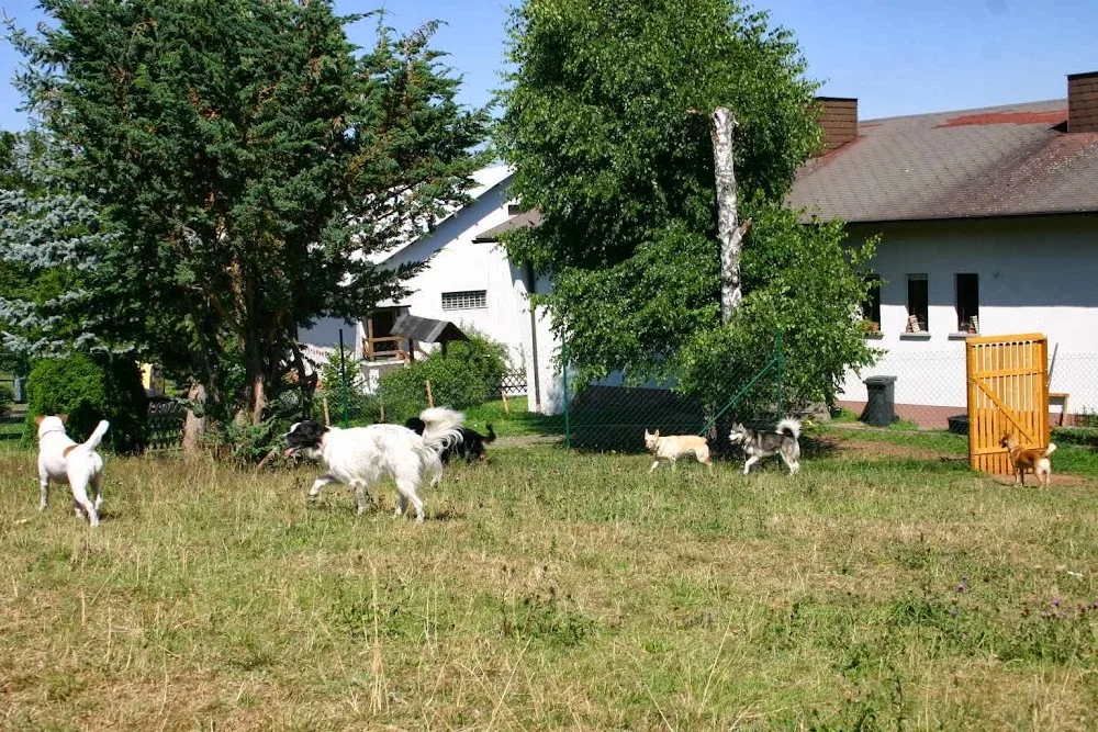 Hundezentrum Kynopolis - Rhineland-Palatinate pet otel