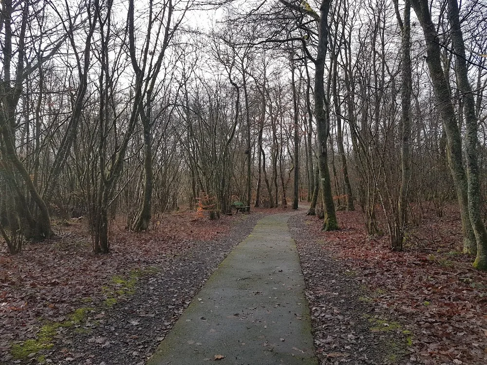 Hundezentrum Kynopolis - Rhineland-Palatinate pet otel görseli 3