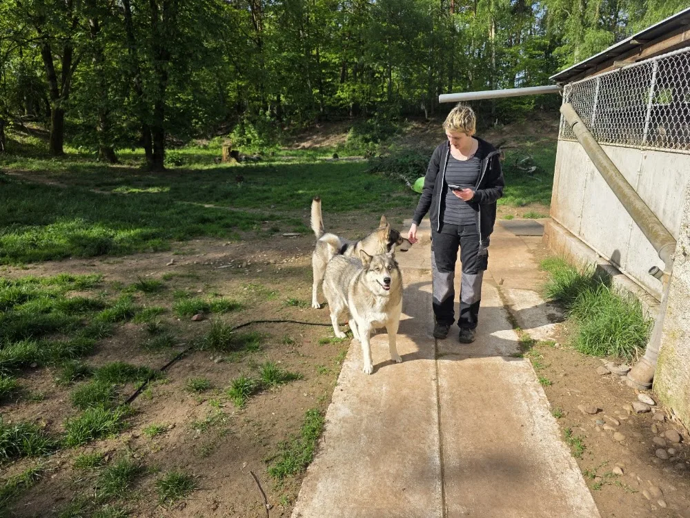 Pet Holiday Kennel - Rhineland-Palatinate pet otel görseli 2