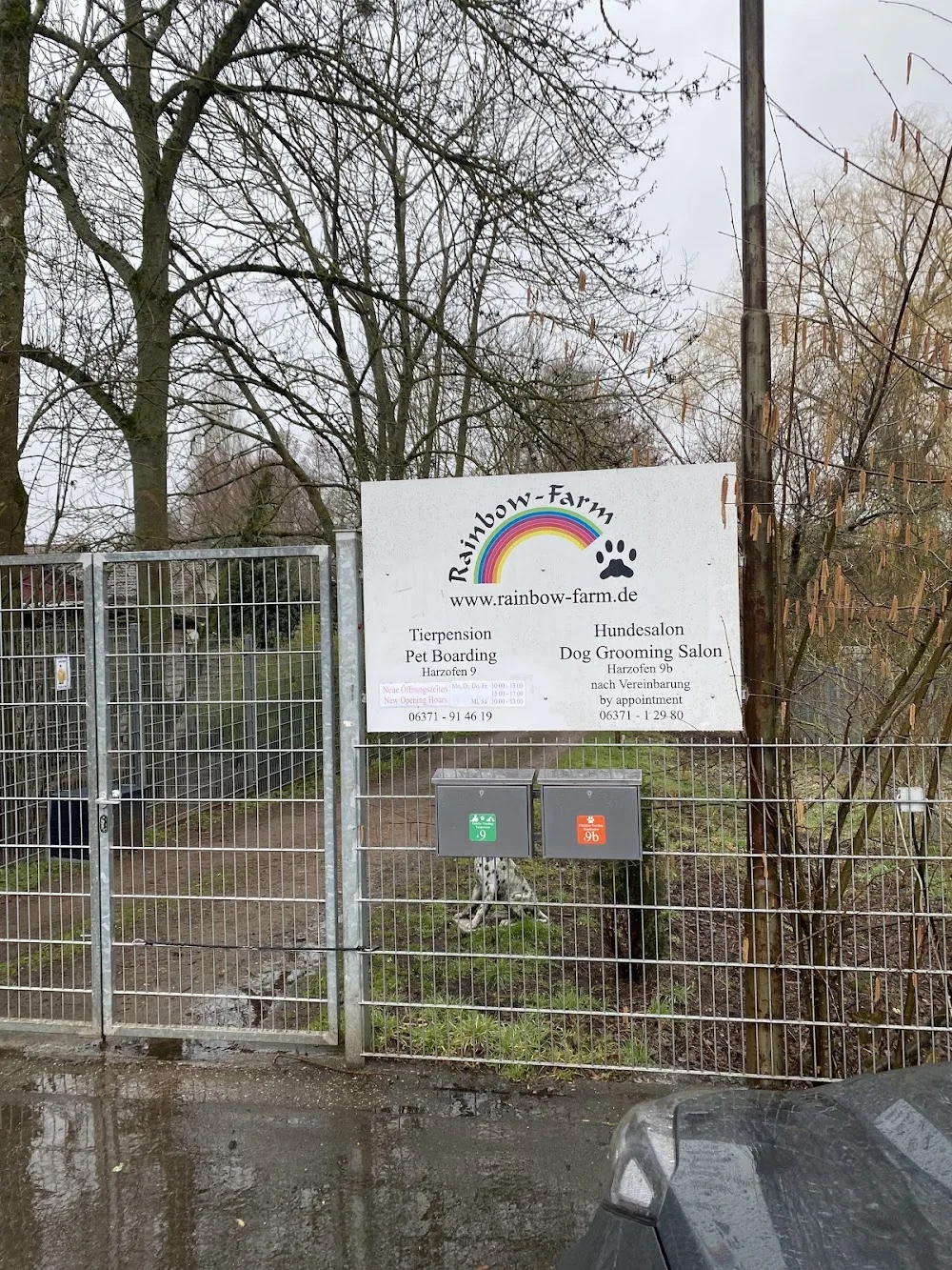 Tierpension Rainbow-Farm, Pet Boarding & DayCare - Rhineland-Palatinate pet otel görseli 3
