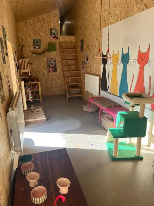Chezgrosminet , hôtel pour chat à Chaleins - Rhône pet otel
