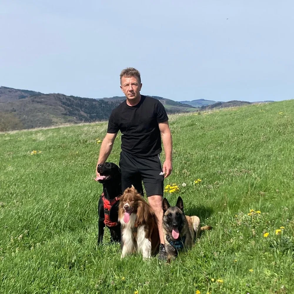 DB DOGS - Education canine et pension en meute - Rhône pet otel