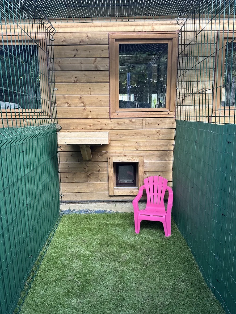 La Terre des Chats - Rhône pet otel görseli 3