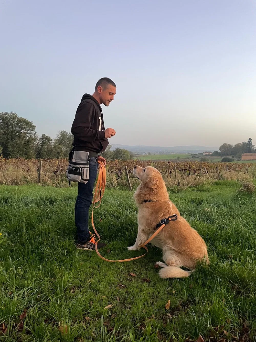 Les Pattes en Coloc'- Pension animal -Educateur canin - Rhône pet otel görseli 3