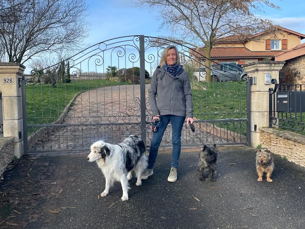 Les Toutous Fringants – Pension Canine - Rhône pet otel görseli 2