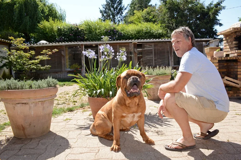 Pension la Pauberthilaine - Rhône pet otel görseli 6