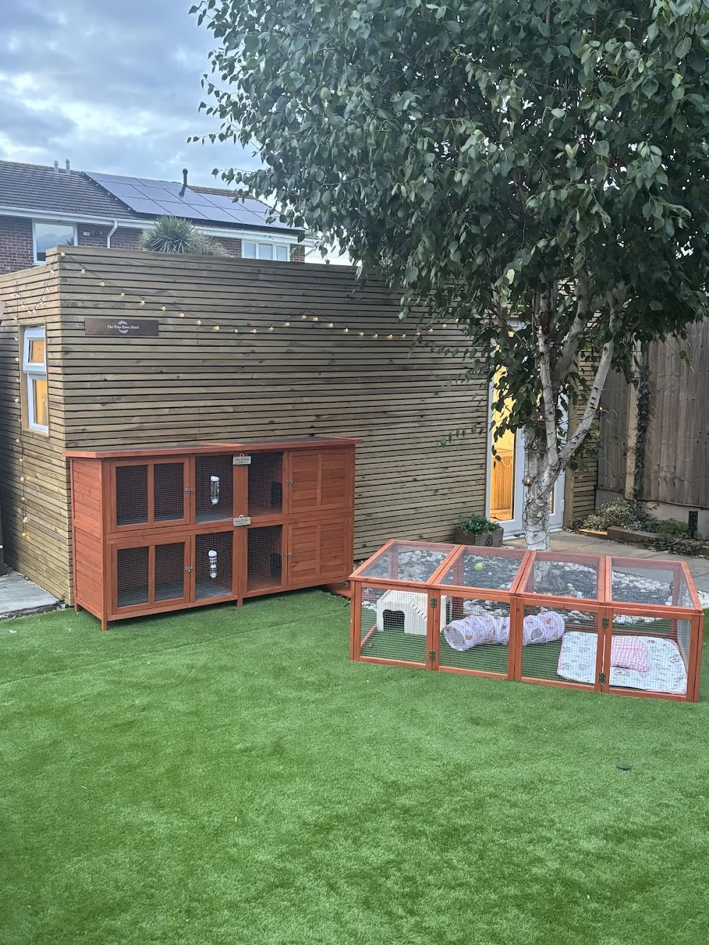The Tiny Paws Hotel - Richmond pet otel