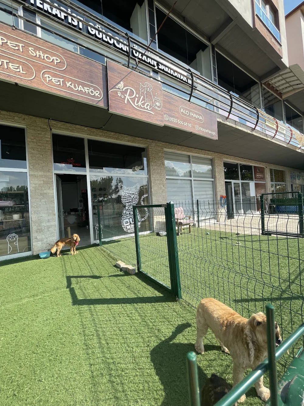 Rika Pet Shop - Pet Otel - Pet Kuaför - Denizli pet otel görseli 2