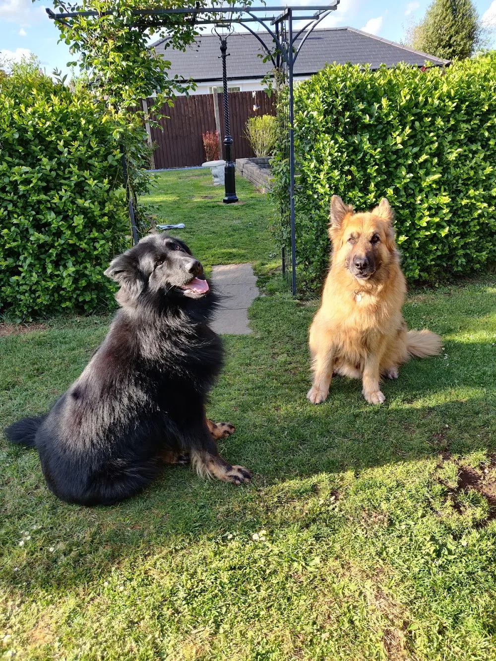 Barilla Kennels - Ringwood pet otel
