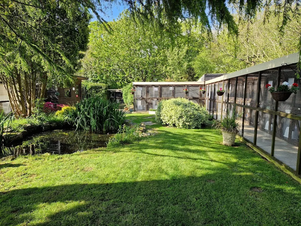 Cottage Garden Cats Ltd - Ringwood pet otel