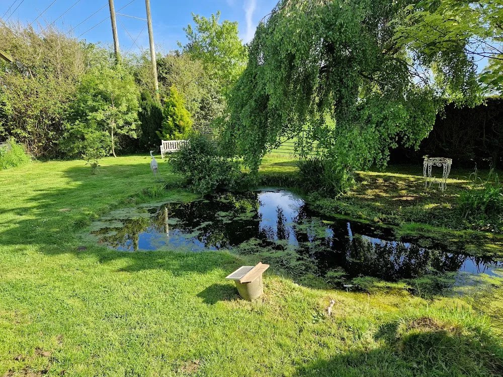 Cottage Garden Cats Ltd - Ringwood pet otel görseli 3