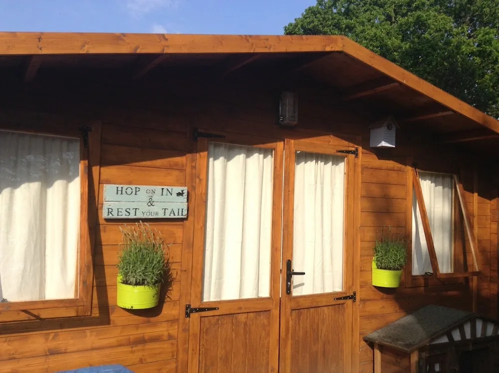 Small Pet Boarding - Ringwood pet otel