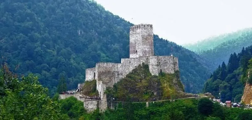 Aydoğan Otel - Rize pet otel