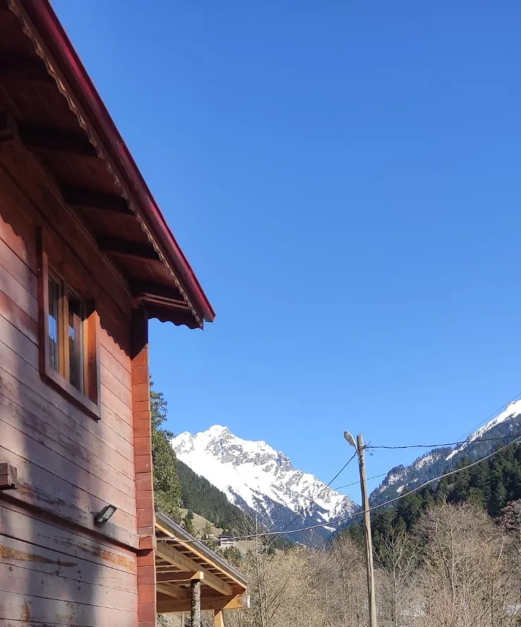 Çat Dağ Evi - Rize pet otel
