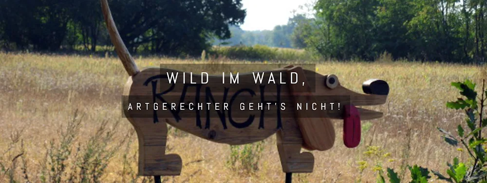 Hunderanch Rodgau - Rödermark pet otel