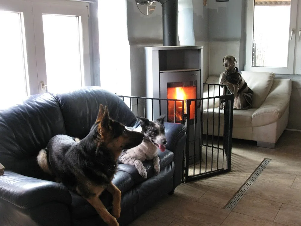 Hunderanch Rodgau - Rödermark pet otel görseli 3