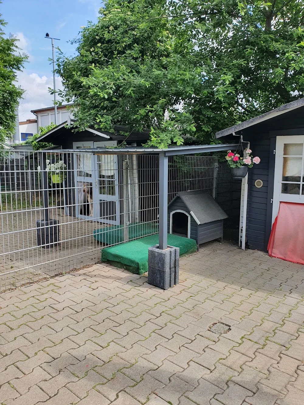 Tierpension Dieburg Nord - Rödermark pet otel görseli 3
