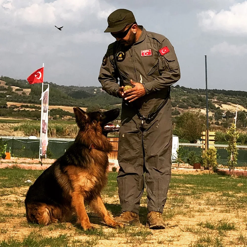 RODİ KÖPEK EĞİTİM MERKEZİ & KÖPEK OTELİ - Adana pet otel görseli 2